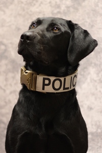 Police Canine Bill