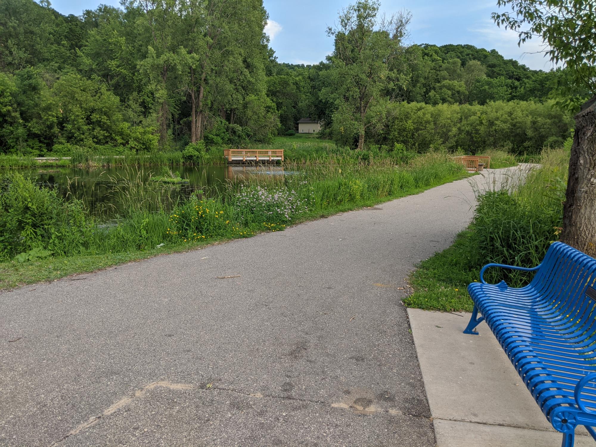 Chad Erickson Path & Pond