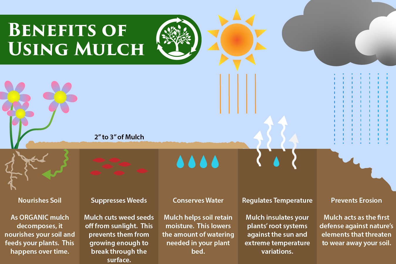 mulching info