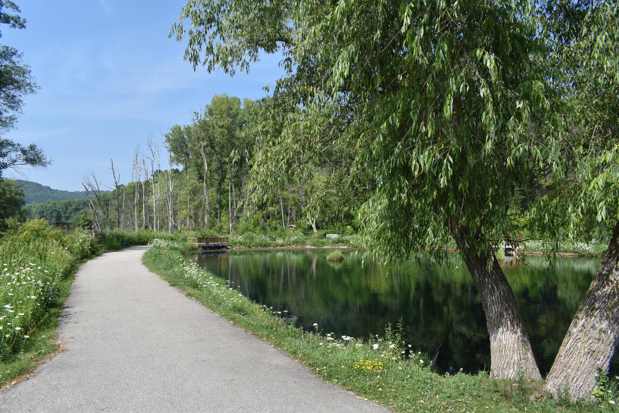 Chad Erickson South Pond