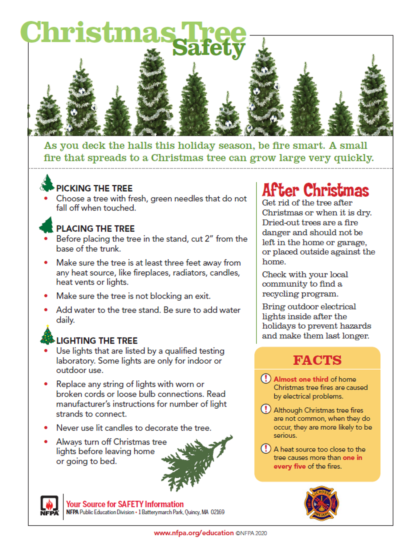 Christmas Tree Fire Safety