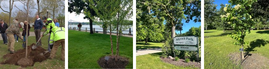 Memorial Trees